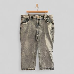 Women's Lane Bryant Petite Acid Wash Style Jeans